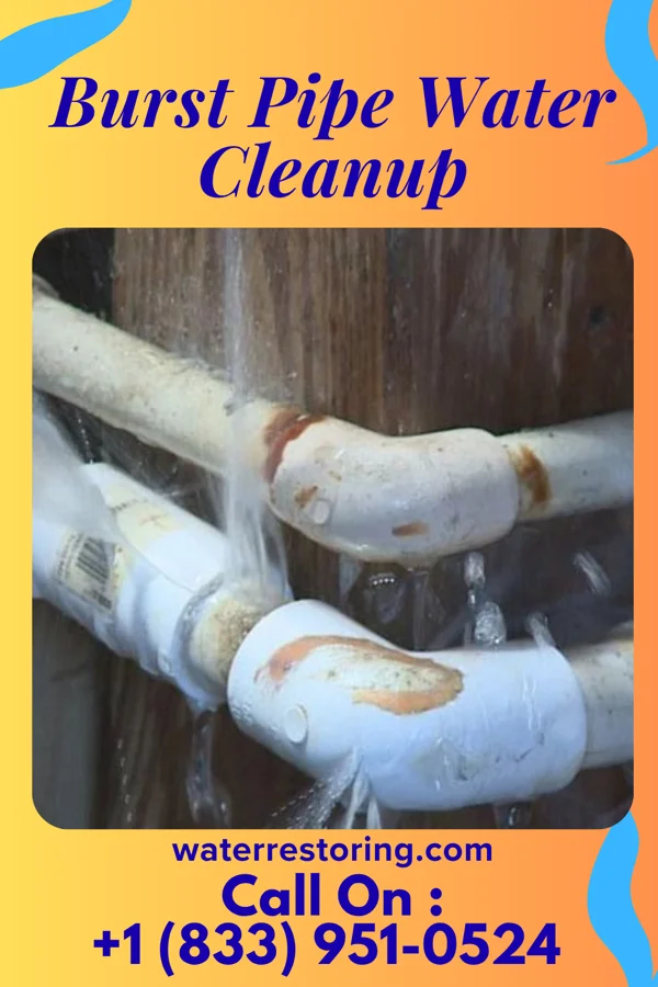 Burst Pipe Water Cleanup in Sebring, OH