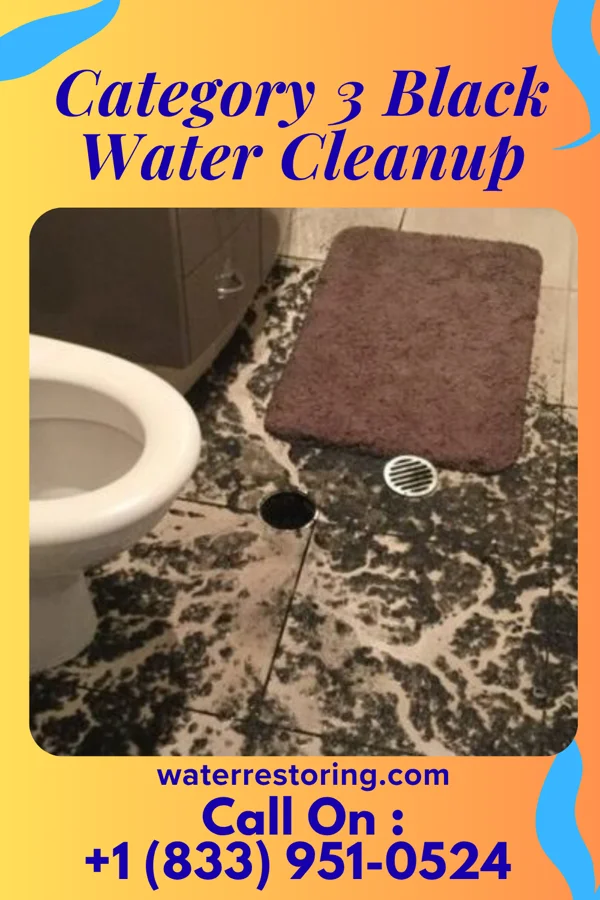 Category 3 Black Water Cleanup in Sebring, OH