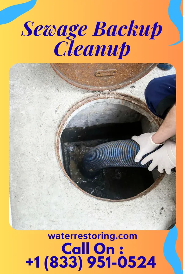 Sewage Backup Cleanup in Sebring, OH