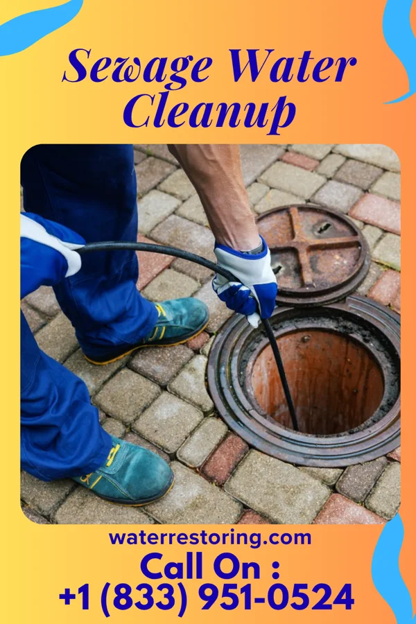 Sewage Water Cleanup in Sebring, OH